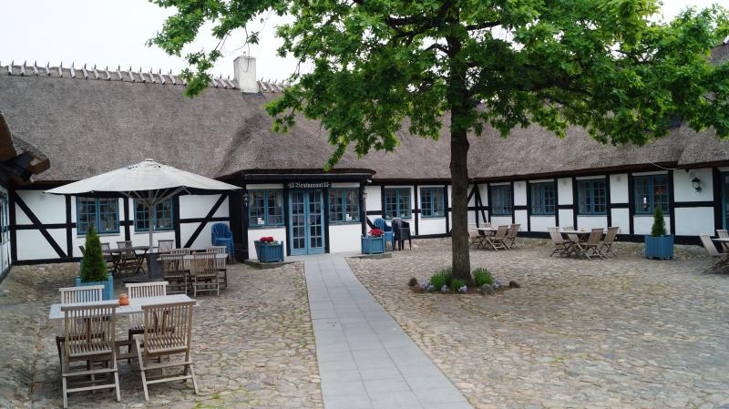 Skovtur for pensionister